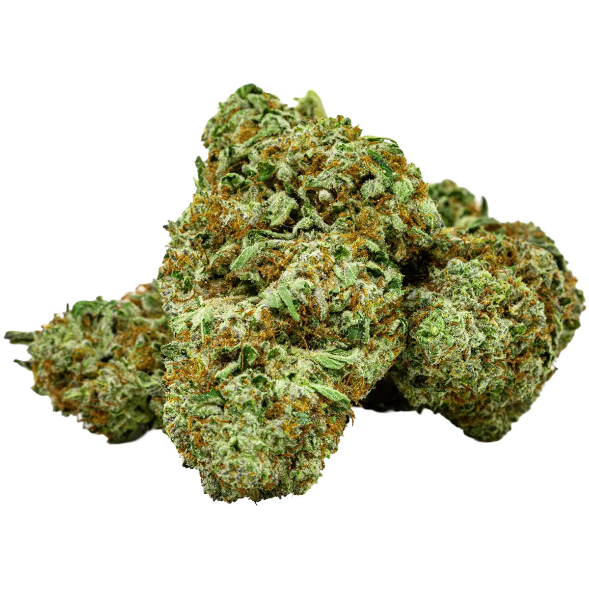 Sherblato is a sativa-dominant hybrid strain bred by TrueHighClass, combining Sherbert and Gelato genetics. The strain is known for its potency, relaxing body effects, and euphoric cerebral stimulation.