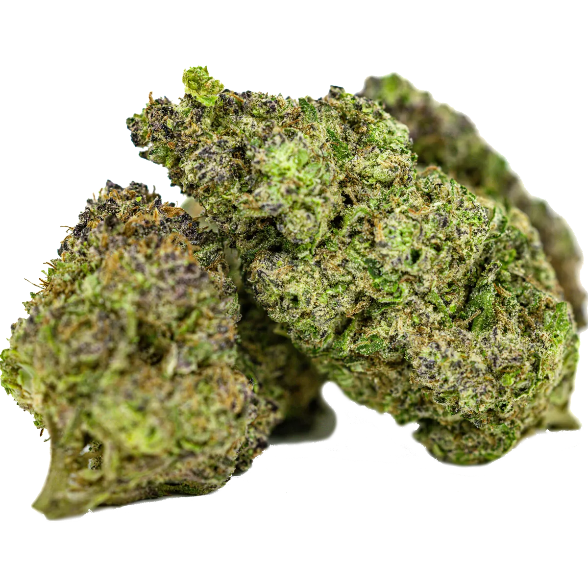 Thin Mintz is a balanced hybrid strain bred by TrueHighClass, descended from the famous Girl Scout Cookies (GSC) lineage.